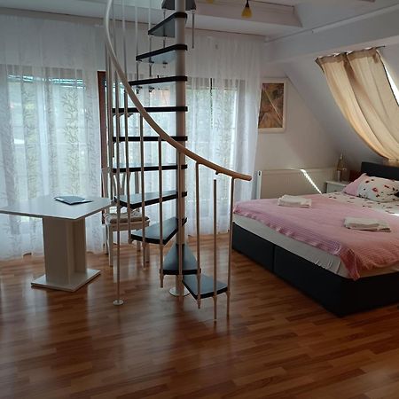 Pension Donaublick Grein 2 In Stifterstrasse19.公寓 外观 照片