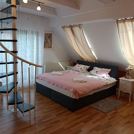 Pension Donaublick Grein 2 In Stifterstrasse19.公寓 外观 照片