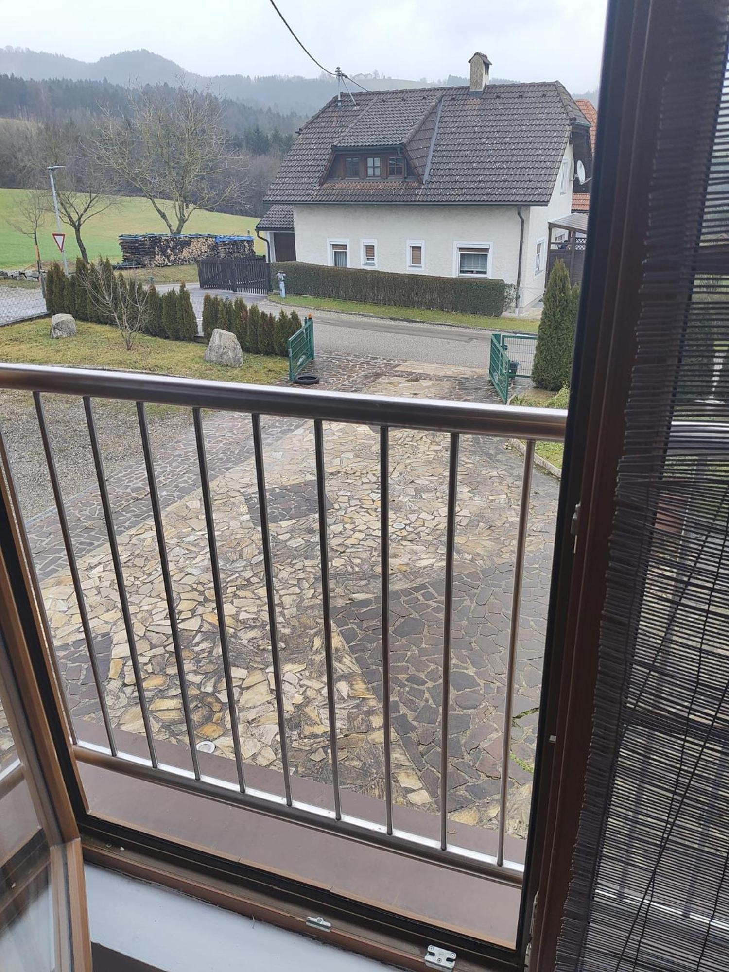 Pension Donaublick Grein 2 In Stifterstrasse19.公寓 外观 照片