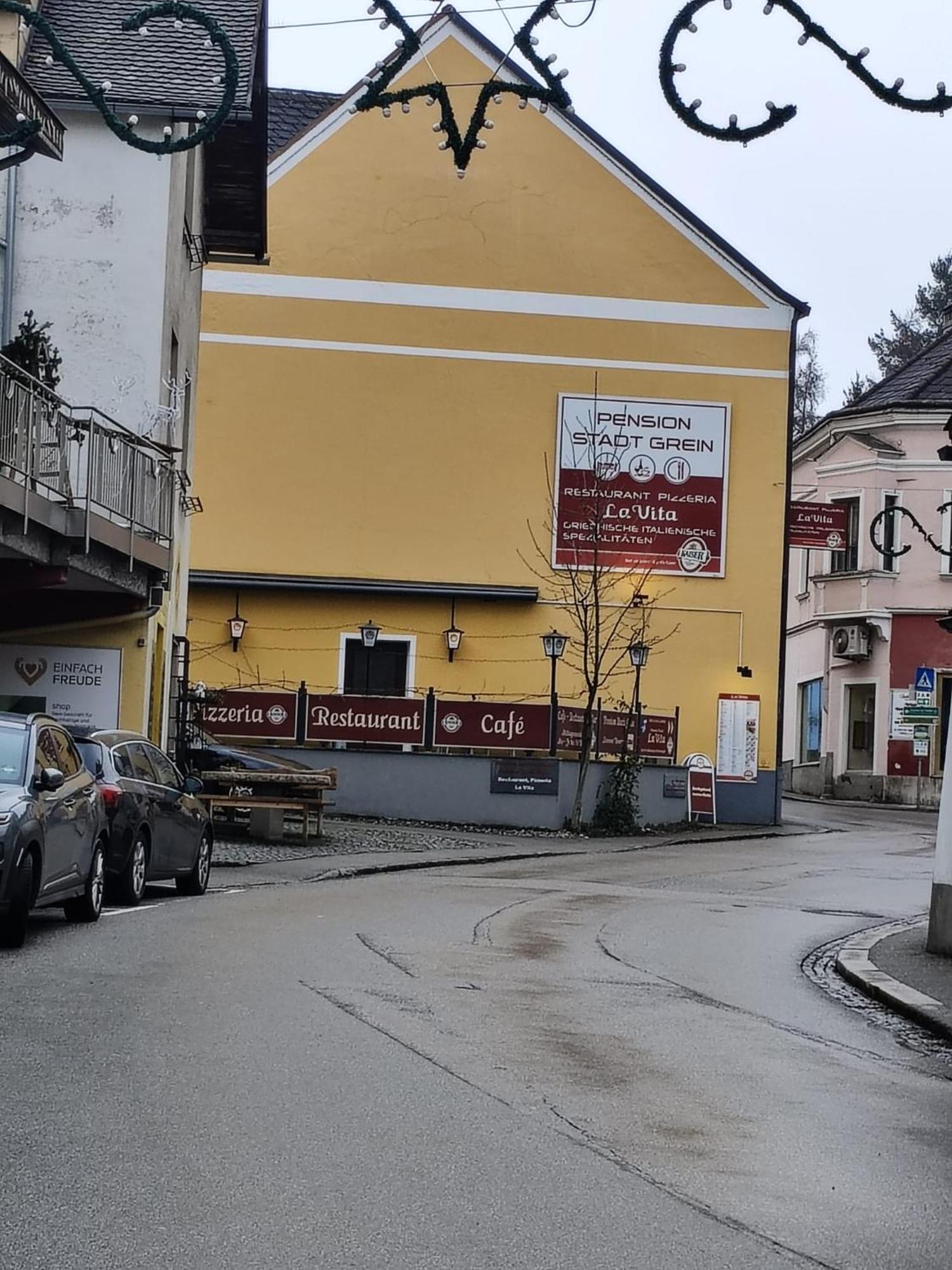 Pension Donaublick Grein 2 In Stifterstrasse19.公寓 外观 照片
