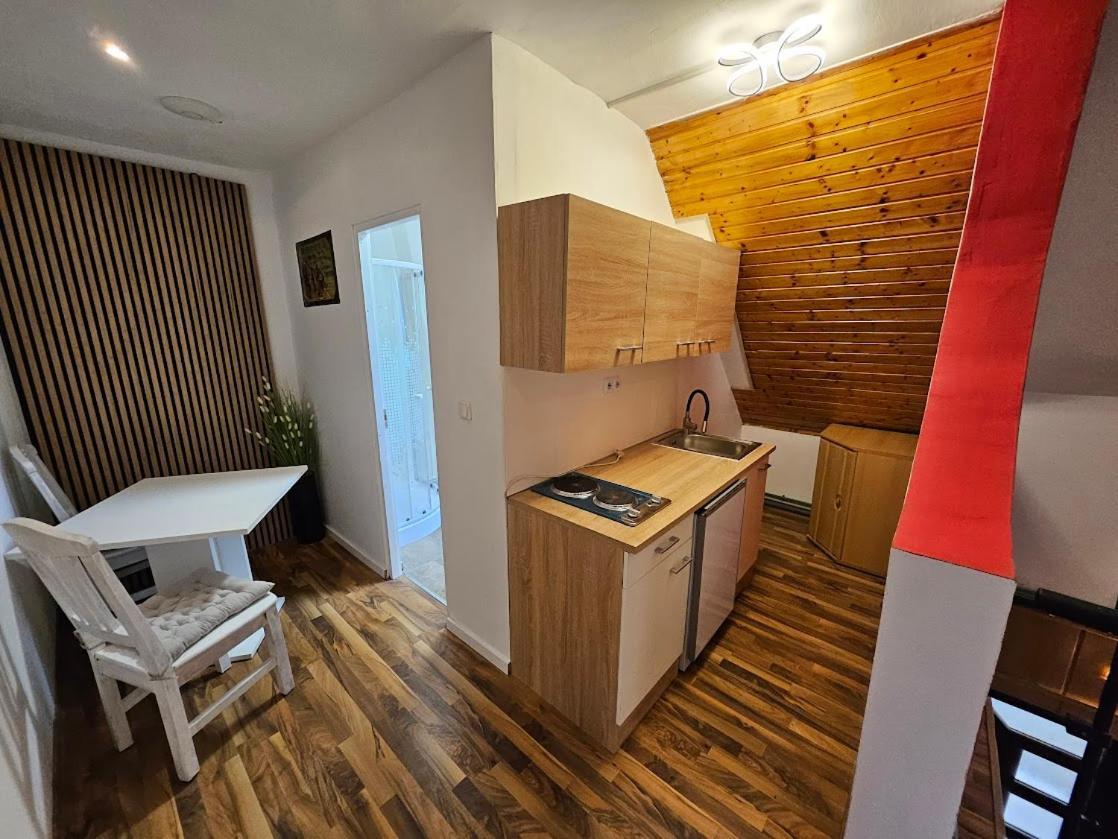 Pension Donaublick Grein 2 In Stifterstrasse19.公寓 外观 照片