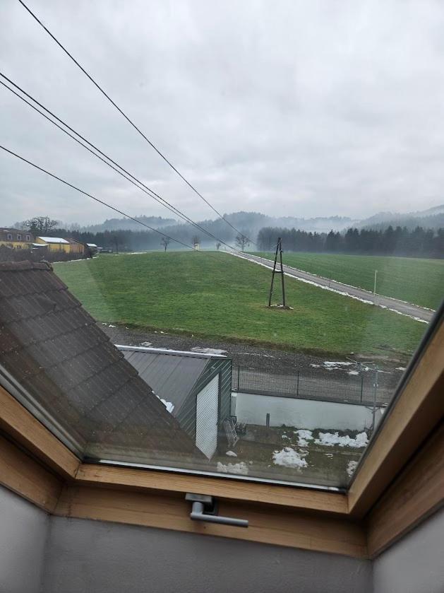 Pension Donaublick Grein 2 In Stifterstrasse19.公寓 外观 照片