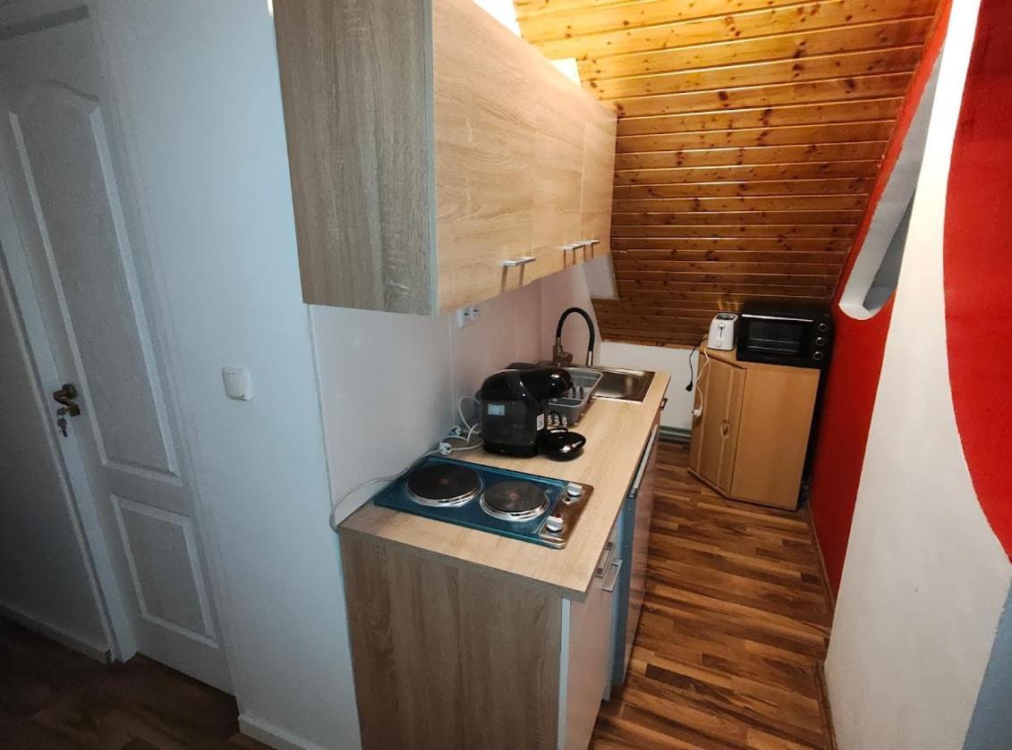 Pension Donaublick Grein 2 In Stifterstrasse19.公寓 外观 照片