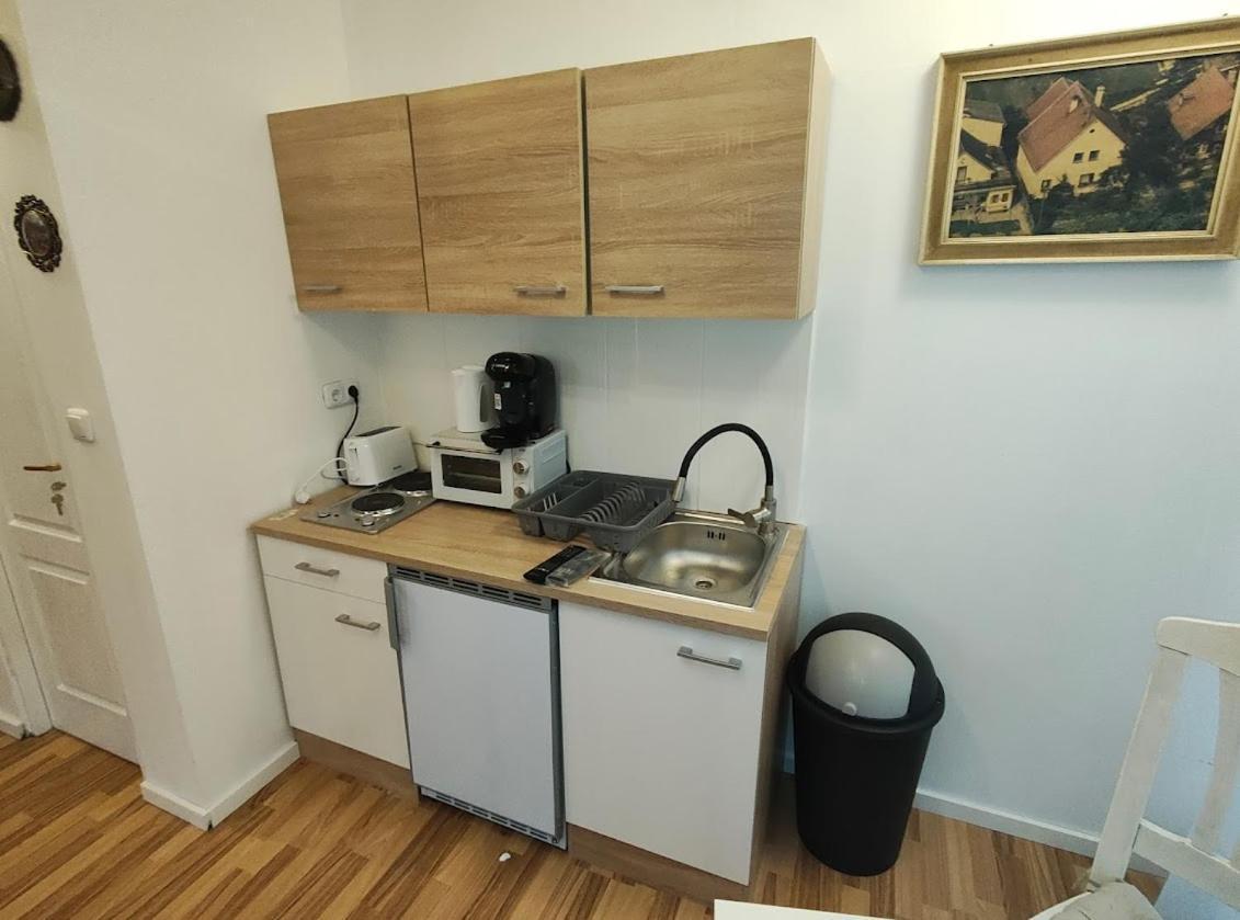 Pension Donaublick Grein 2 In Stifterstrasse19.公寓 外观 照片