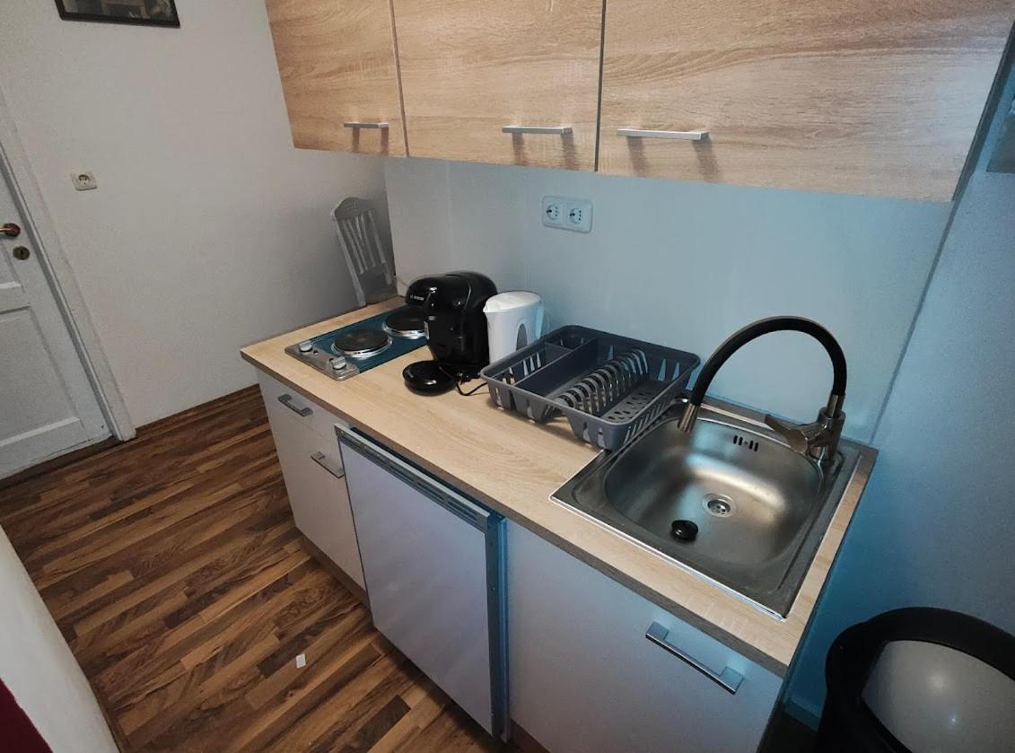 Pension Donaublick Grein 2 In Stifterstrasse19.公寓 外观 照片