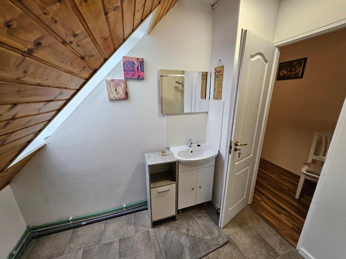 Pension Donaublick Grein 2 In Stifterstrasse19.公寓 外观 照片