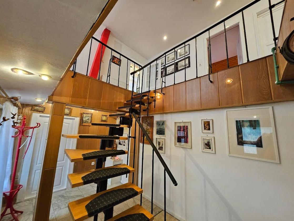 Pension Donaublick Grein 2 In Stifterstrasse19.公寓 外观 照片