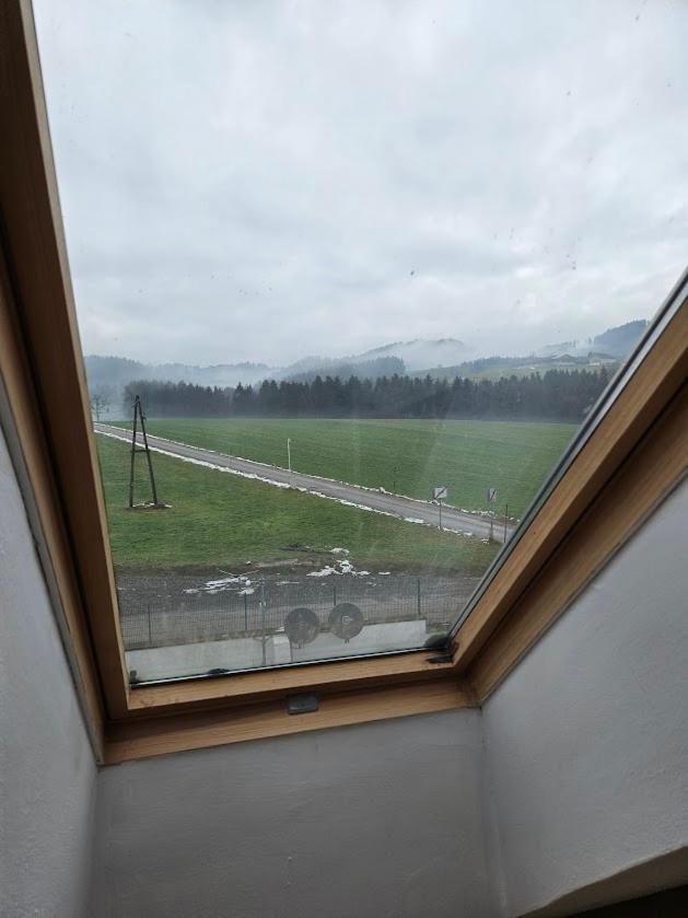 Pension Donaublick Grein 2 In Stifterstrasse19.公寓 外观 照片
