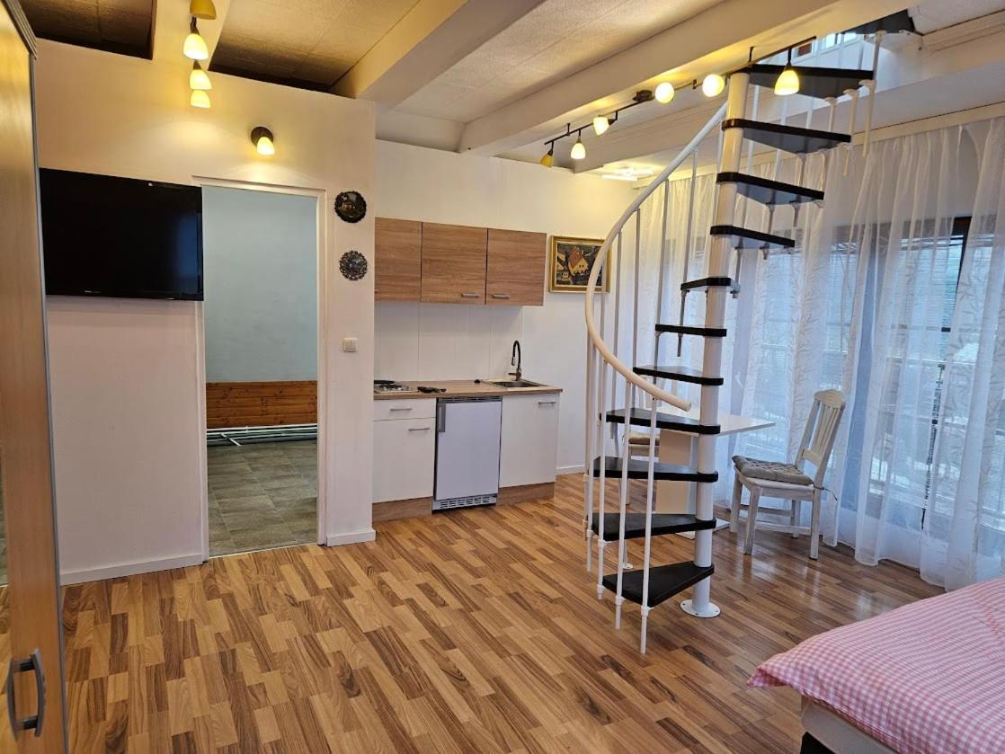 Pension Donaublick Grein 2 In Stifterstrasse19.公寓 外观 照片