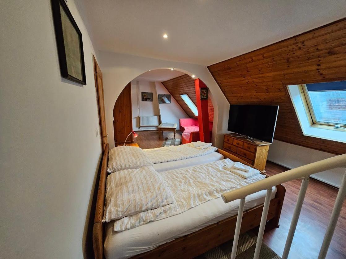 Pension Donaublick Grein 2 In Stifterstrasse19.公寓 外观 照片